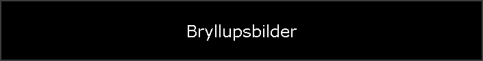 Bryllupsbilder